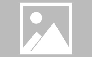 扶余制作网站发布信息（网站如何发布信息）